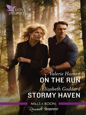 cover image of On the Run / Stormy Haven